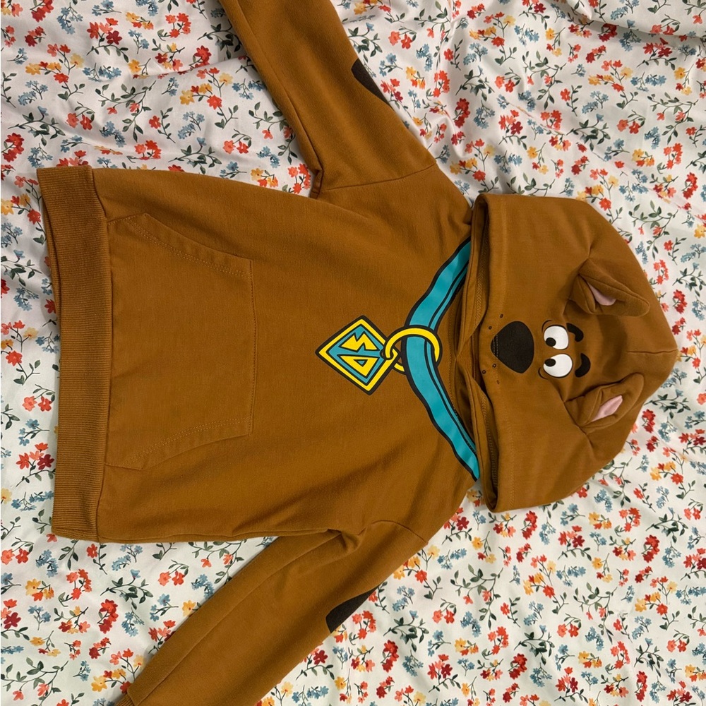 Kids Brown Cartoon Character Hoodie